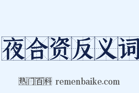 夜合资反义词是什么意思的图片